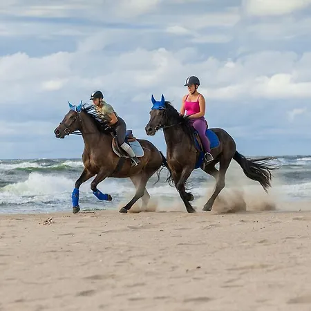 Bed & Breakfast Sanibel
