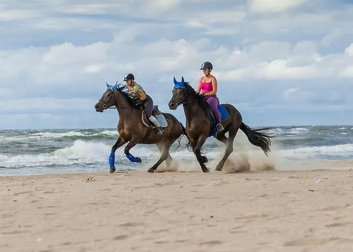Bed and breakfast Sanibel